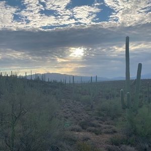 Meet your Posher, Jena